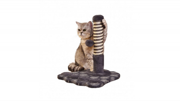 ansamblu-de-joaca-mon-petit-ami-m-29x24-5xh29-cm-copie-1651-4392