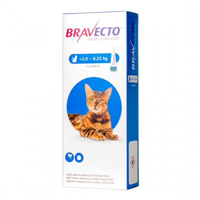 bravecto-spot-on-pisica-2-8-6-25-kg-250-mg-1-pipeta-748627