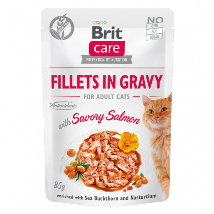 brit-care-cat-fillets-in-gravy-choise-chicken-85-g-copie-169643