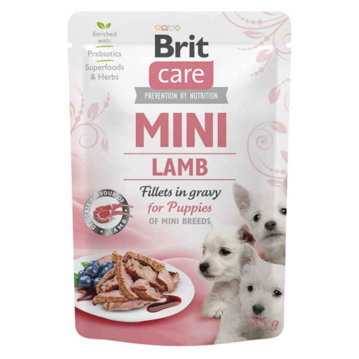brit-care-dog-mini-lamb-fillets-in-gravy-85-g-copie-975701
