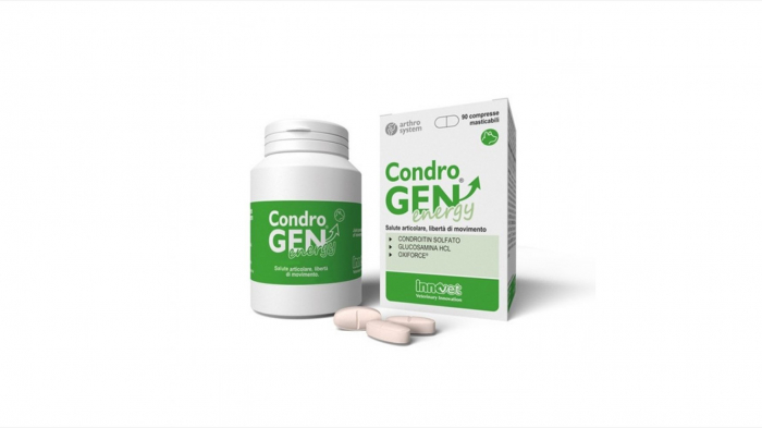 condrogen-energy-60-tablete-copie-1462-1889