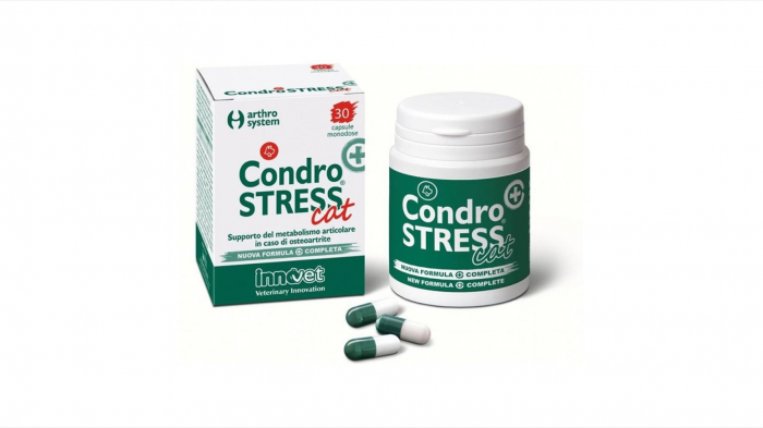 condrovet-force-ha-pisica-45-capsule-copie-1457-4705