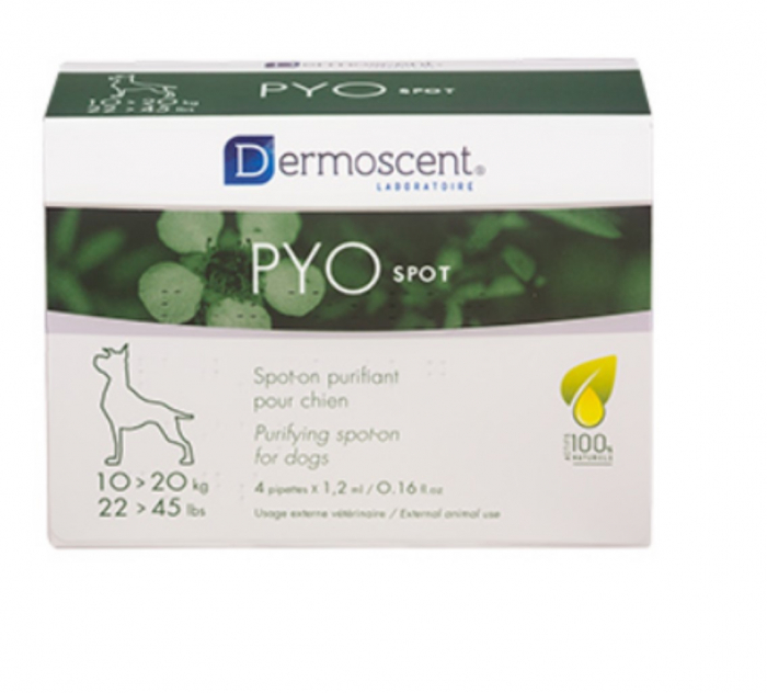 dermoscent-pyo-spot-caine-0-10kg-4-pipete-copie-1232-3201