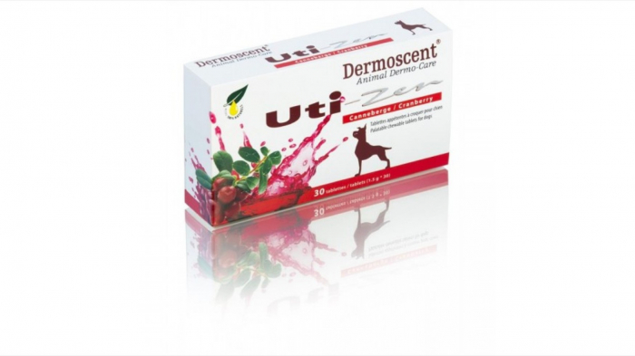 dermoscent-vet-kit-20-de-pipete-copie-1238-4323