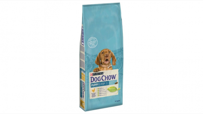 dog-chow-senior-cu-pui-2-5-kg-copie-1258-5190