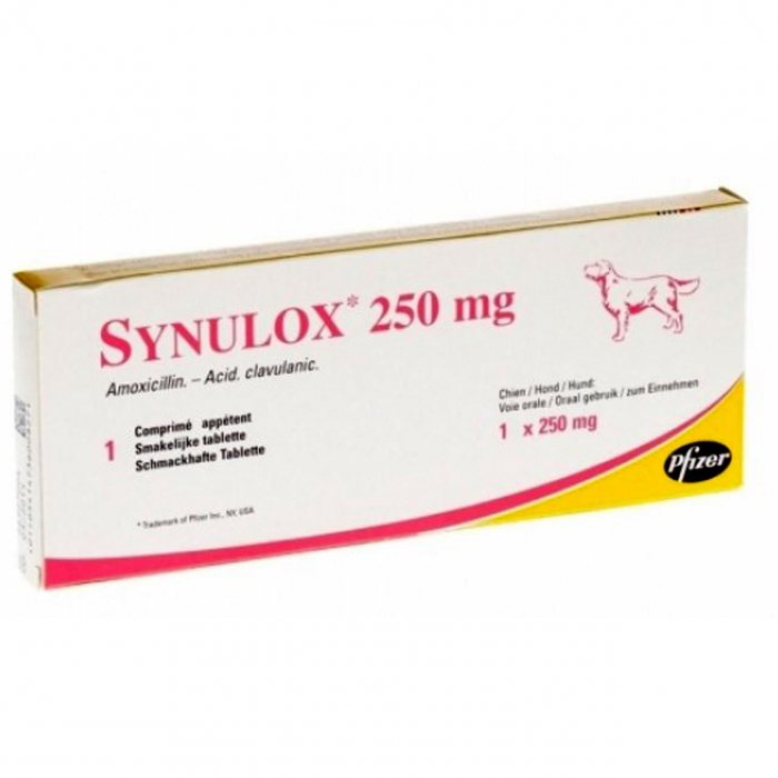 enroxil-flavour-15-mg-50-comprimate-582-7041