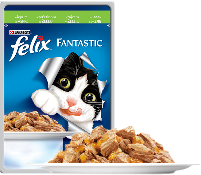 felix-fantastic-iepure-in-aspic-100g-80-1365