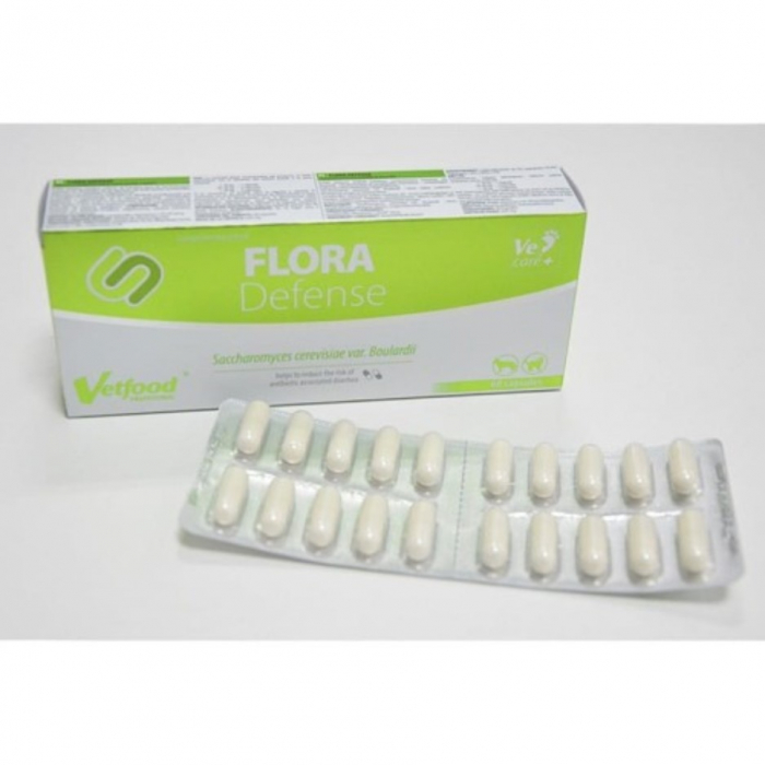 flora-defense-60-capsule-859346