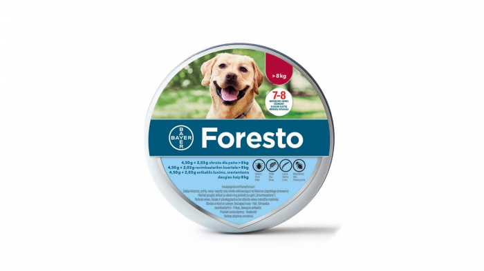 foresto_big-01-176-1253