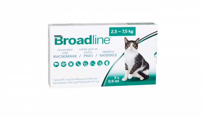 frontline-combo-pisica-1-pipeta-antiparazitare-copie-1163-2168