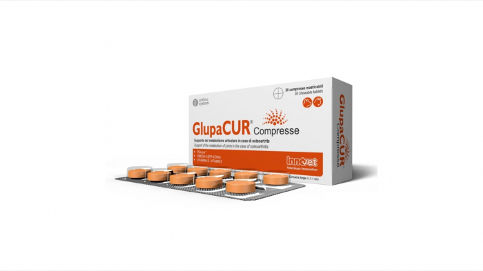glupacur-60-plicuri-copie-1467-7154