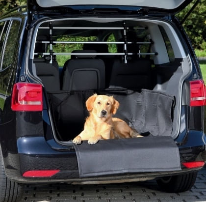 husa-de-protectie-auto-164-21425