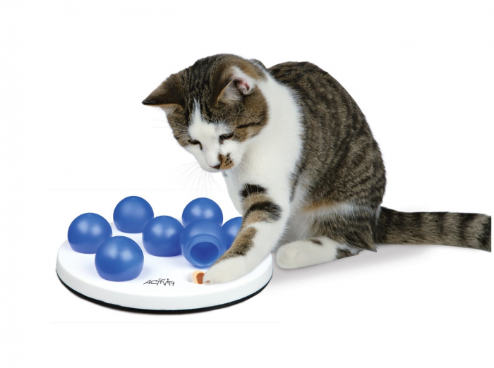 jucarie-activity-14-cm-copie-846-8343