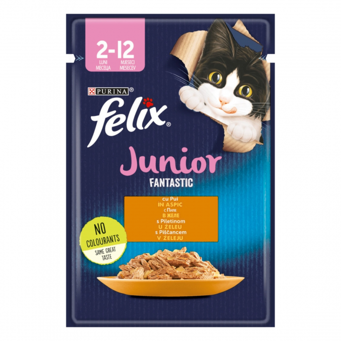 junior-felix-fantastic-pui-in-aspic-85-g-84-9355