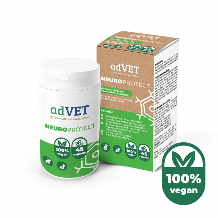 neuro-support-45-capsule-copie-433619