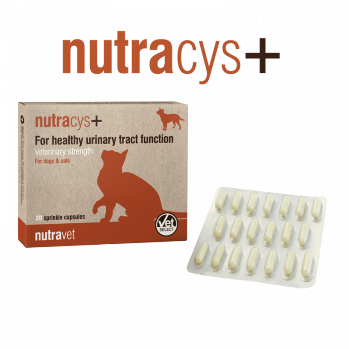 nutravet-nutraease-pentru-caini-si-pisici-100-capsule-480530