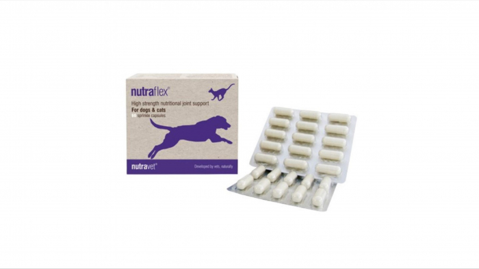 nutravet-nutraflex-pentru-caini-si-pisici-60-capsule-2077-8089