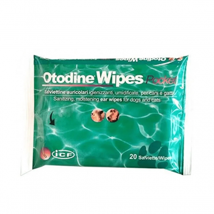 otodine-100-ml-copie-460059