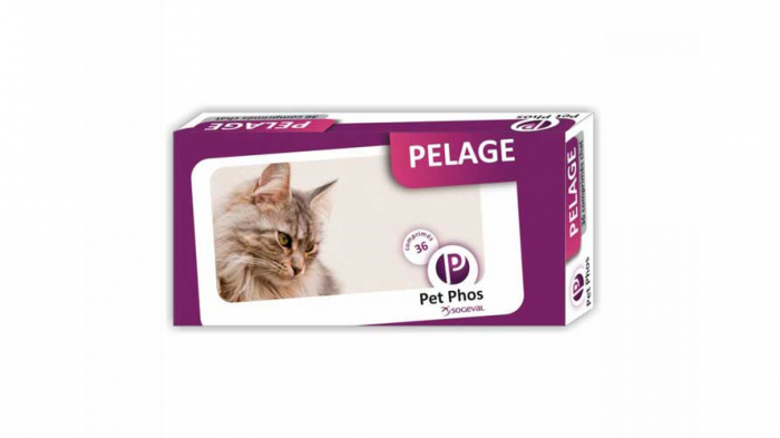 pet-phos-felin-pelage-336-8074