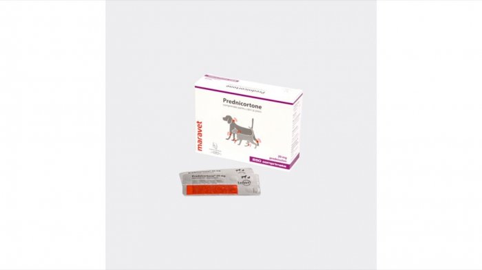prednicortone-20-mg-blister-10-tablete-copie-892-1805