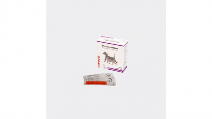 prednicortone-5-mg-blister-2x10-tablete-copie-888-9375
