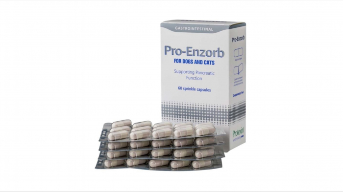 protexin-pro-enzorb-pentru-caini-si-pisici-60-capsule-2059-8819