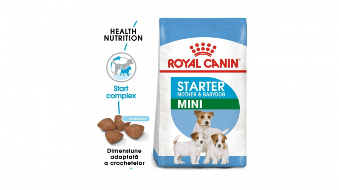 rc-shn-puppy-mini_starter_mother_and_babydog-shn_puppy_003_romania-romanian_2-475-3594