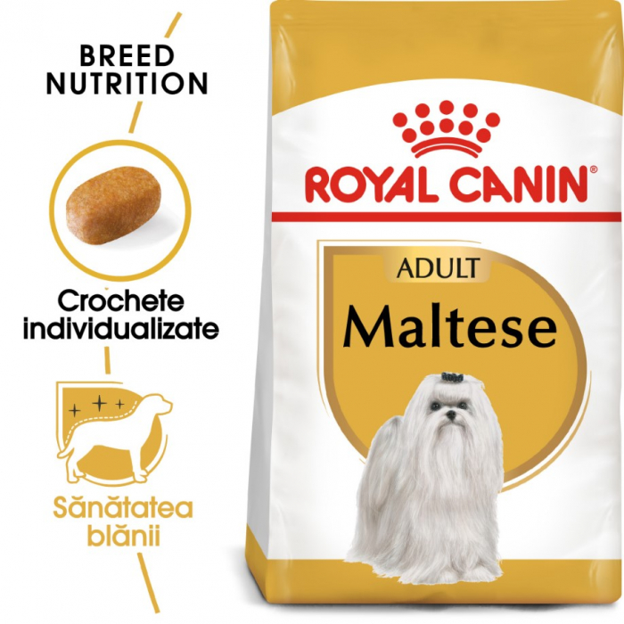 royal-canin-bichon-maltese-adult-1-5-kg-716-5101