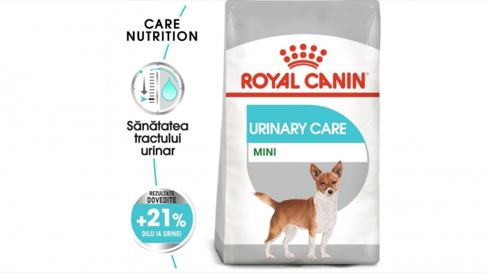royal-canin-bichon-maltese-adult-1-5-kg-copie-copie-962-539978365189