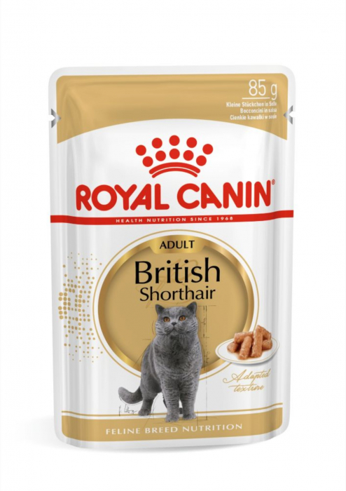 royal-canin-british-shorthair-adult-hrana-umeda-pisica-in-sos-1-x-85-g-774082
