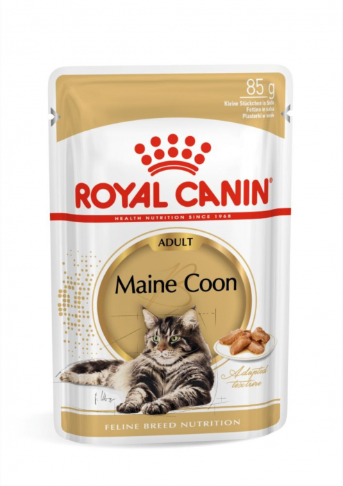 royal-canin-british-shorthair-adult-hrana-umeda-pisica-in-sos-12-x-85-g-copie-095482