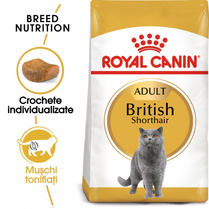 royal-canin-british-shorthair-kitten-10-kg-copie-1563-9113