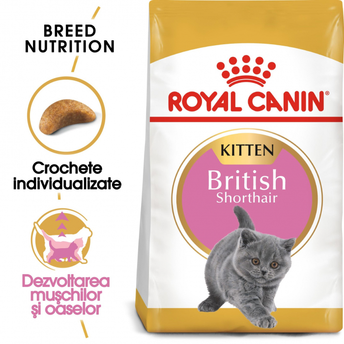 royal-canin-british-shorthair-kitten-2-kg-copie-1562-2937