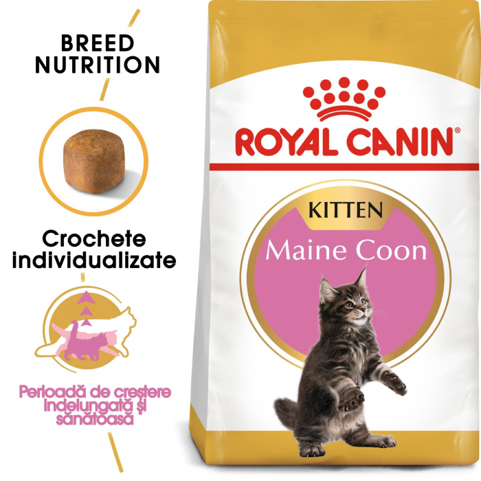 royal-canin-british-shorthair-kitten-2-kg-copie-1566-4003