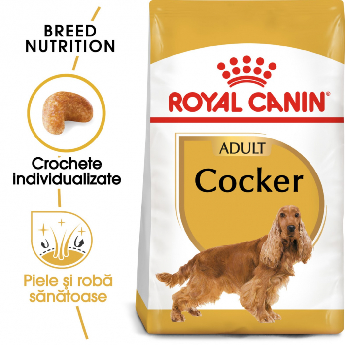 royal-canin-chihuahua-adult-1-5-kg-copie-1296-6756