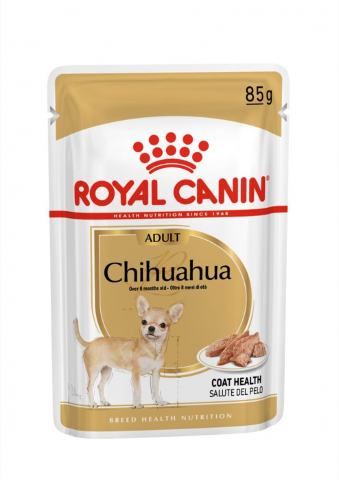 royal-canin-chihuahua-adult-hrana-umeda-caine-pate-12-x-85-g-108894