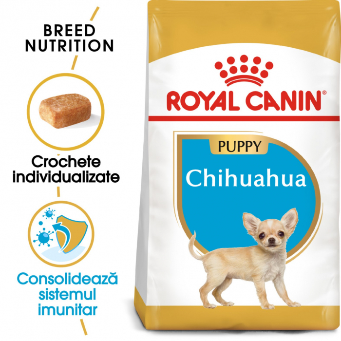 royal-canin-chihuahua-junior-500-g-copie-1294-4583