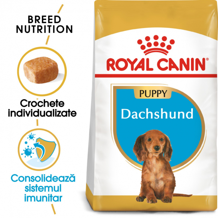 royal-canin-cocker-adult-3-kg-copie-1297-4146