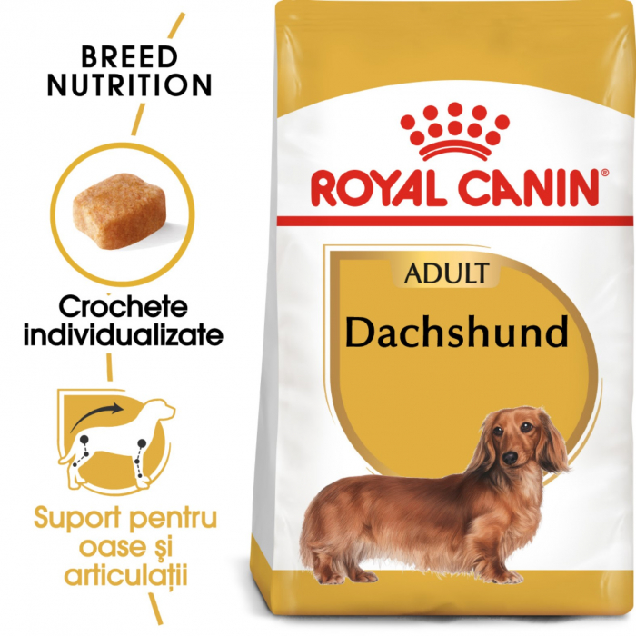 royal-canin-dachshund-junior-1-5-kg-copie-1298-5166