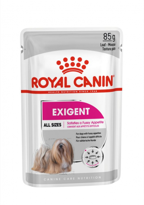 royal-canin-exigent-adult-hrana-umeda-caine-apetit-capricios-pate-12-x-85-g-0089344771