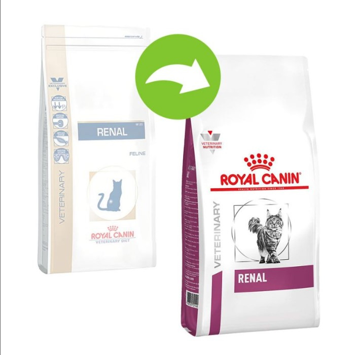 royal-canin-felin-renal-4kg-262-9173