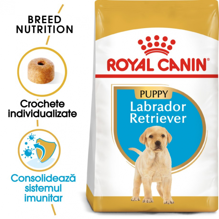 royal-canin-labrador-retriever-puppy-1-kg-copie-1354-8673