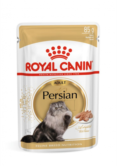 royal-canin-maine-coon-adult-hrana-umeda-pisica-in-sos-12-x-85-g-copie-353841