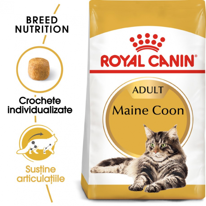 royal-canin-maine-coon-kitten-10-kg-copie-1568-5038