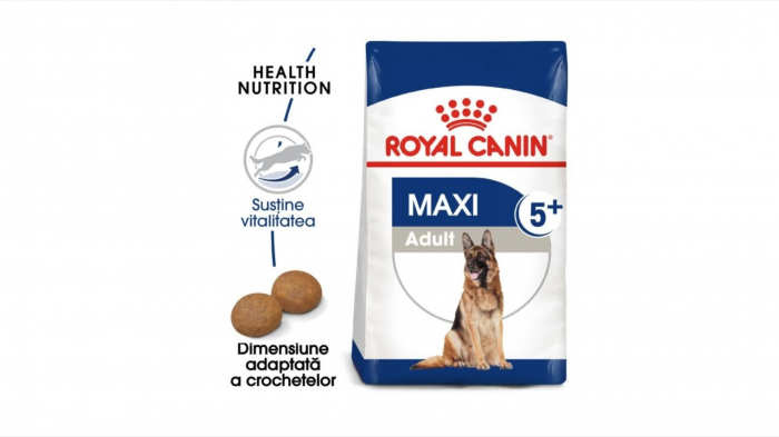 royal-canin-maxi-adult-4-kg-copie-1100-71808673