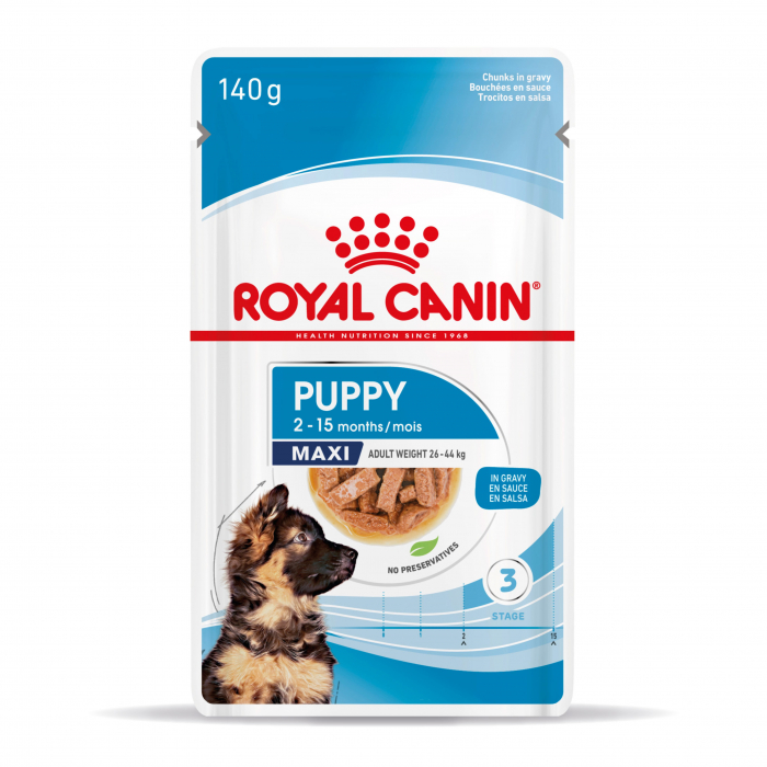royal-canin-medium-ageing-hrana-umeda-caine-senior-in-sos-10-x-140-g-copie-9636865230