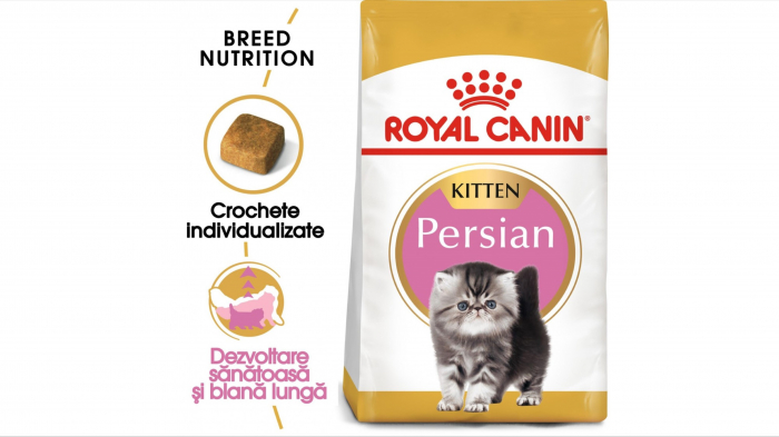royal-canin-persian-kitten-hrana-uscata-pisica-junior-10-kg-1965-8285