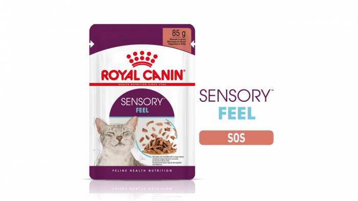royal-canin-sensory-feel-hrana-umeda-pisica-pentru-stimularea-simtului-tactil-in-sos-12x85-g-2217-5118