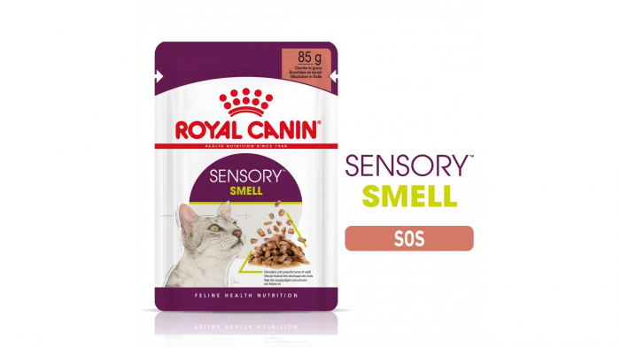 royal-canin-sensory-smell-hrana-umeda-pisica-stimularea-simtului-olfactiv-in-sos-12x85-g-2215-70435757
