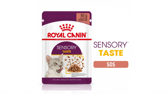 royal-canin-sensory-taste-hrana-umeda-pisica-pentru-stimularea-gustului-in-sos-12-x-85-g-2213-53656559
